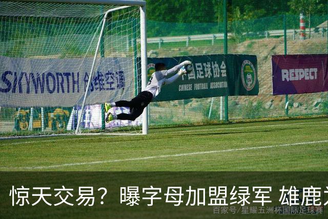 惊天交易？曝字母加盟绿军 雄鹿为布朗寻找第三方